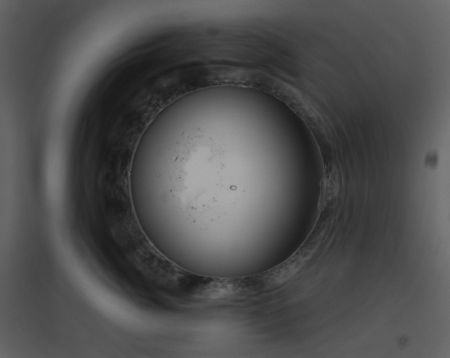 X0000096630764200802121047