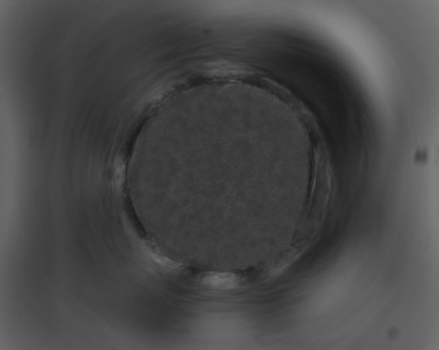 X0000096630767200802121047
