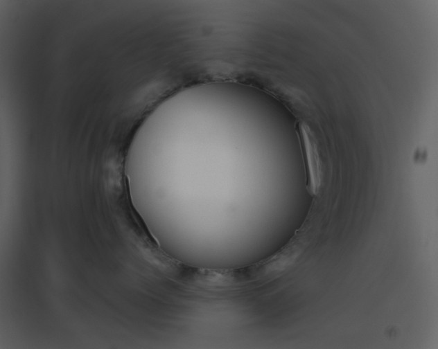 X0000096630768200802121047