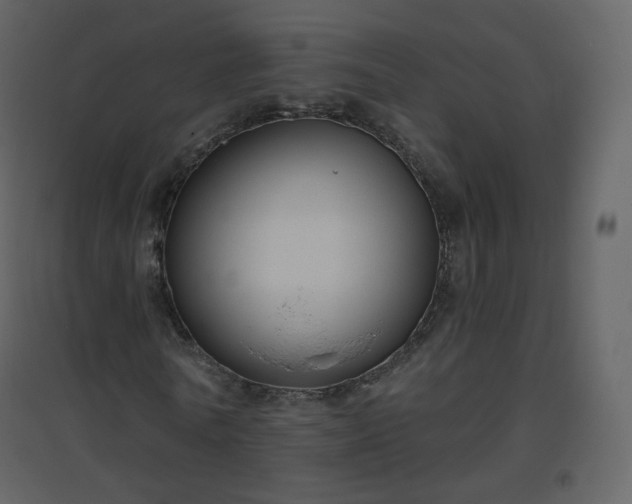 X0000096630770200802121046