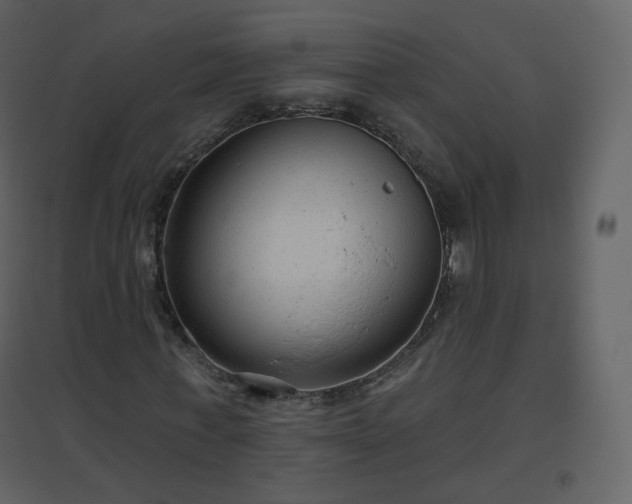 X0000096630771200802121046