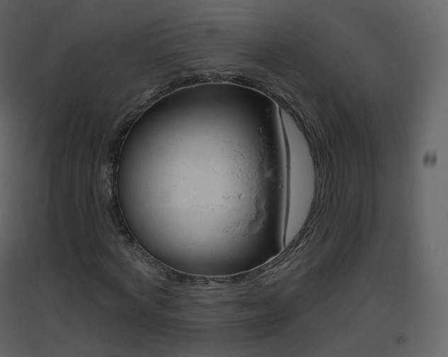X0000096630772200802121046