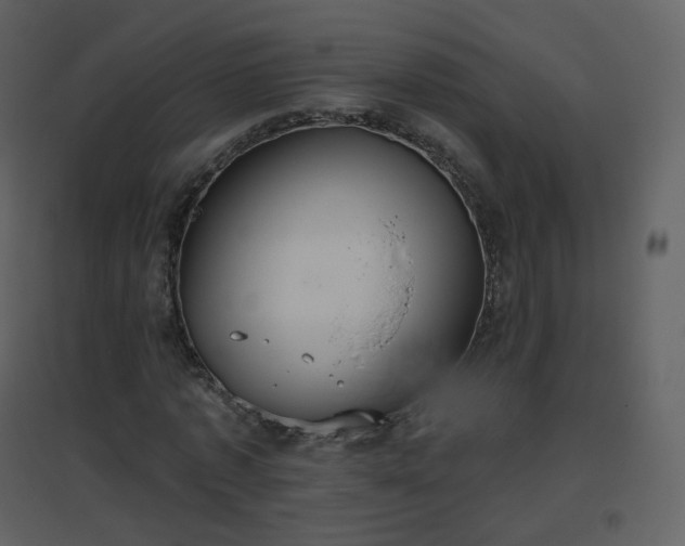 X0000096630773200802121046