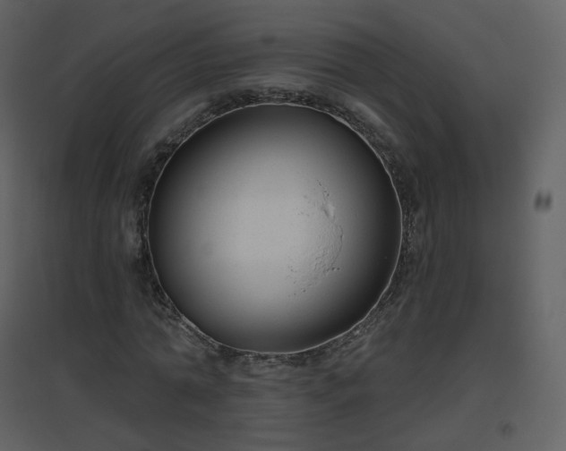 X0000096630774200802121046