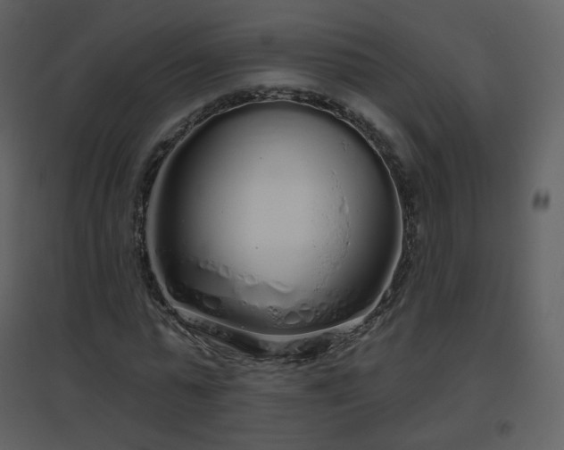 X0000096630775200802121046