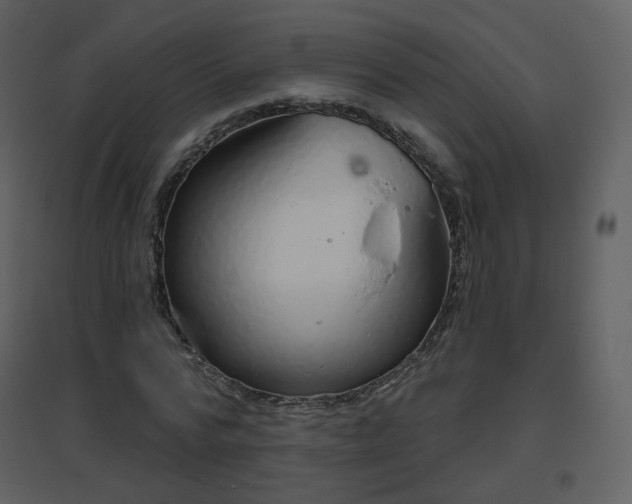 X0000096630776200802121046
