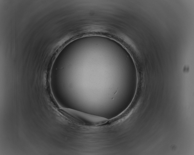 X0000096630777200802121046