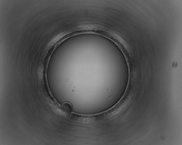 X0000096630778200802121046