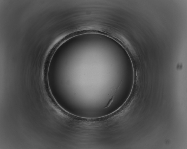 X0000096630780200802121046