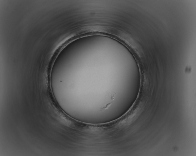 X0000096630782200802121046
