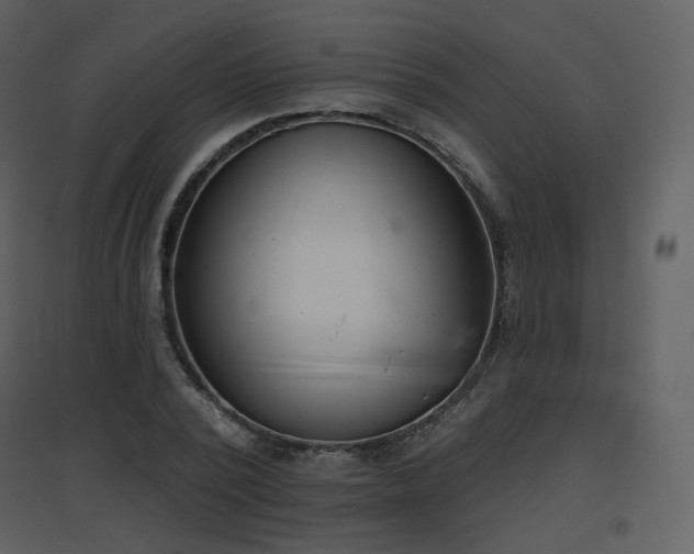 X0000096630784200802121046