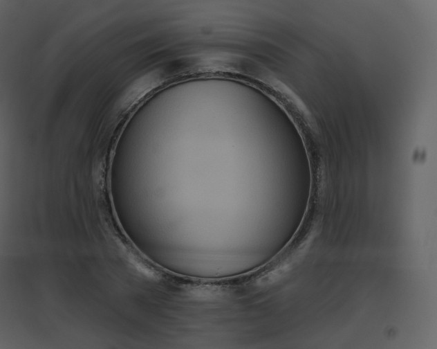 X0000096630785200802121046