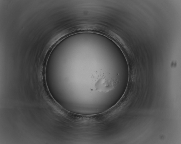 X0000096630786200802121046