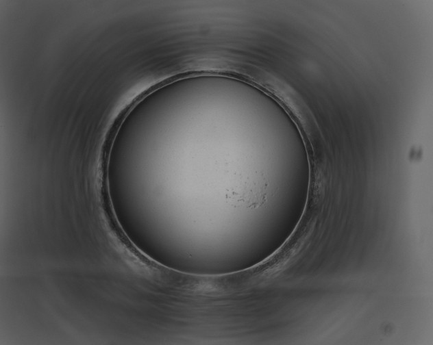 X0000096630787200802121046