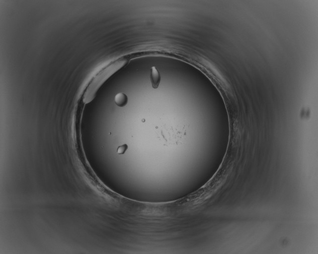 X0000096630788200802121046