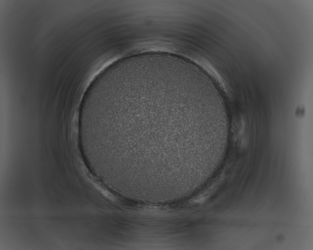 X0000096630790200802121046