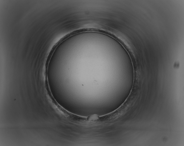 X0000096630791200802121046