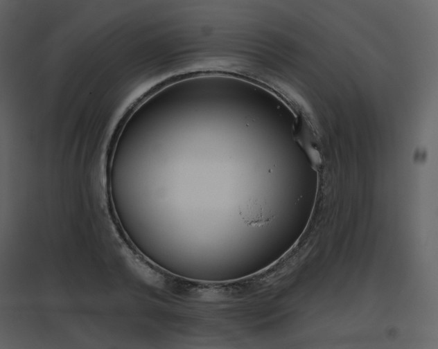 X0000096630792200802121046