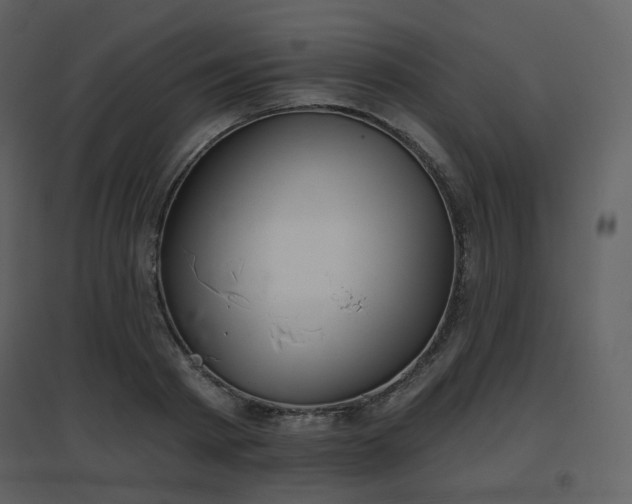 X0000096630793200802121046