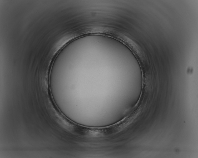 X0000096630794200802121046