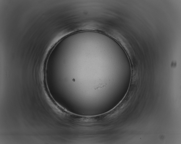 X0000096630795200802121046