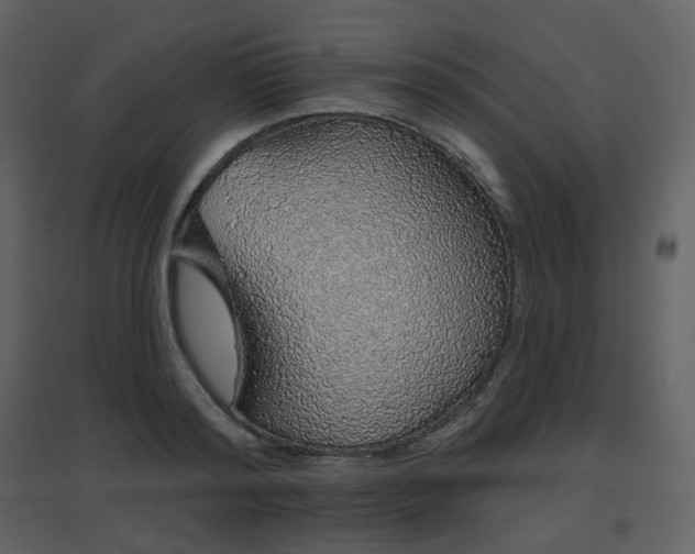 X0000096630796200802121046