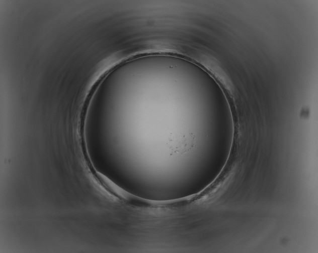 X0000096630797200802121046