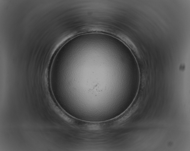 X0000096630798200802121046