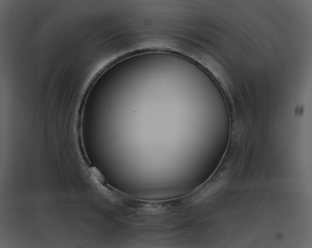X0000096630799200802121046