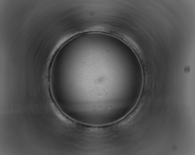 X0000096630800200802121046