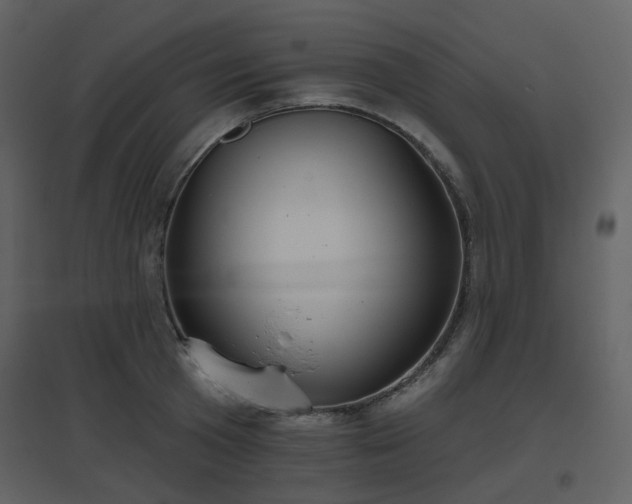 X0000096630801200802121046