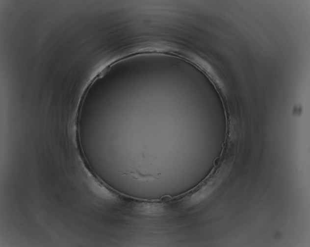 X0000096630802200802121046