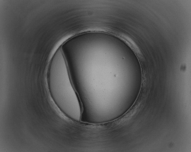 X0000096630804200802121046