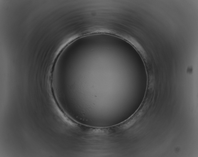 X0000096630806200802121046