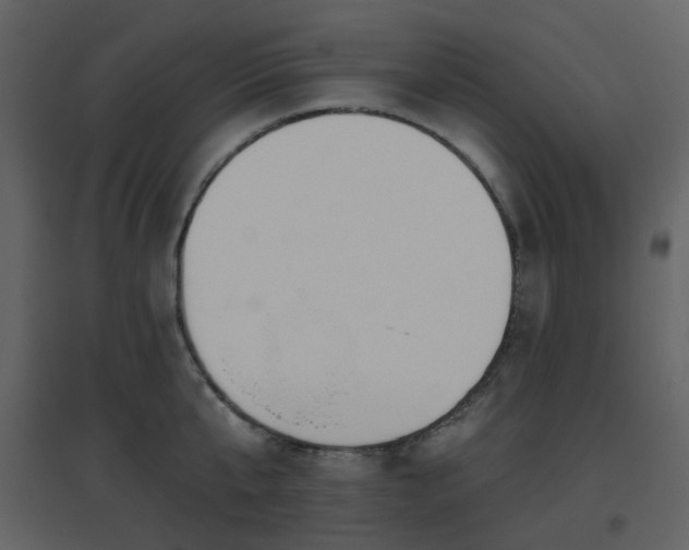 X0000096630807200802121046