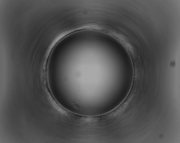 X0000096630808200802121046