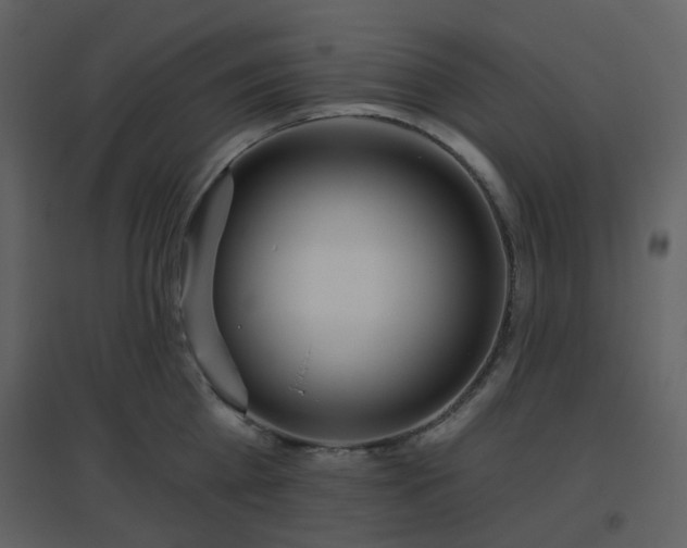 X0000096630809200802121046