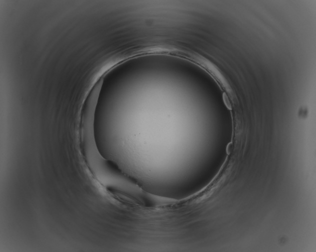 X0000096630810200802121046