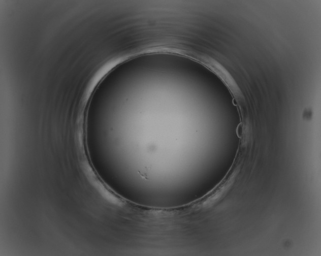 X0000096630812200802121046