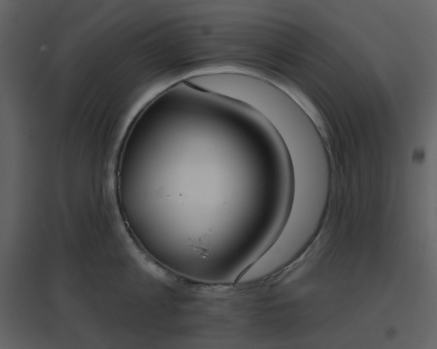 X0000096630813200802121046