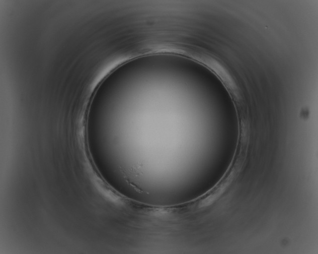 X0000096630814200802121046