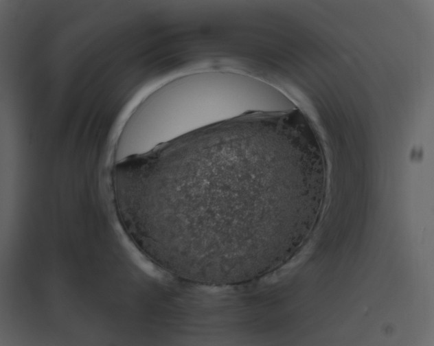 X0000096630816200802121046