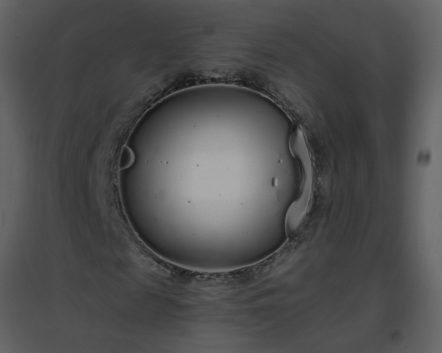 X0000096630817200802121045
