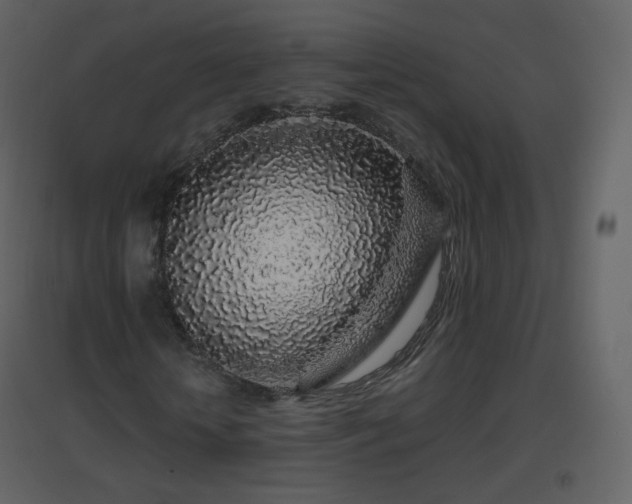 X0000096630818200802121045