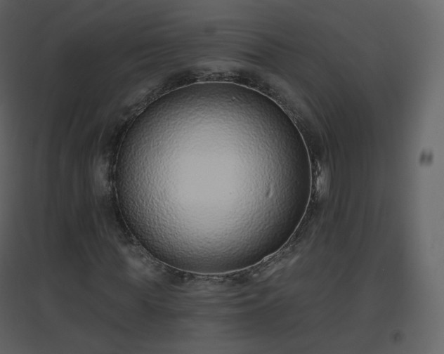 X0000096630819200802121045