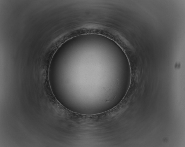 X0000096630821200802121045