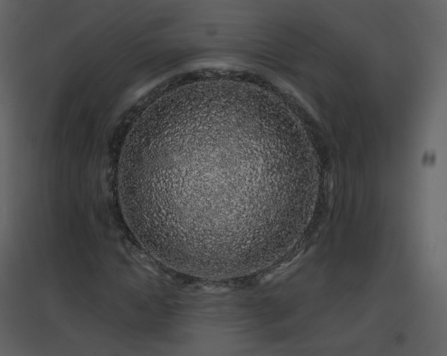X0000096630822200802121045
