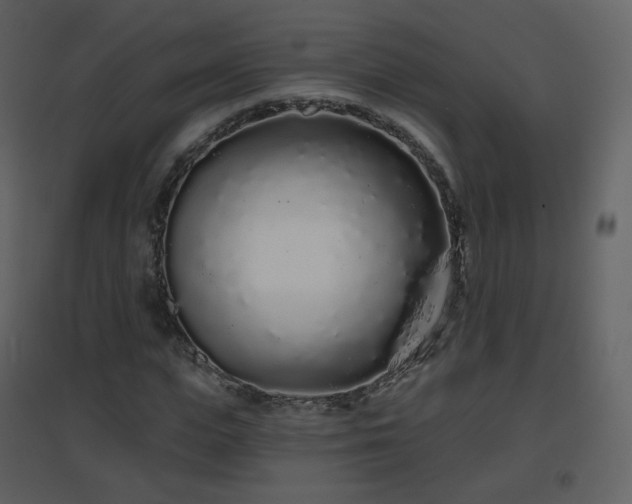 X0000096630823200802121045