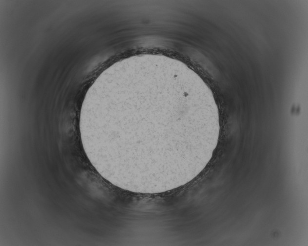 X0000096630824200802121045