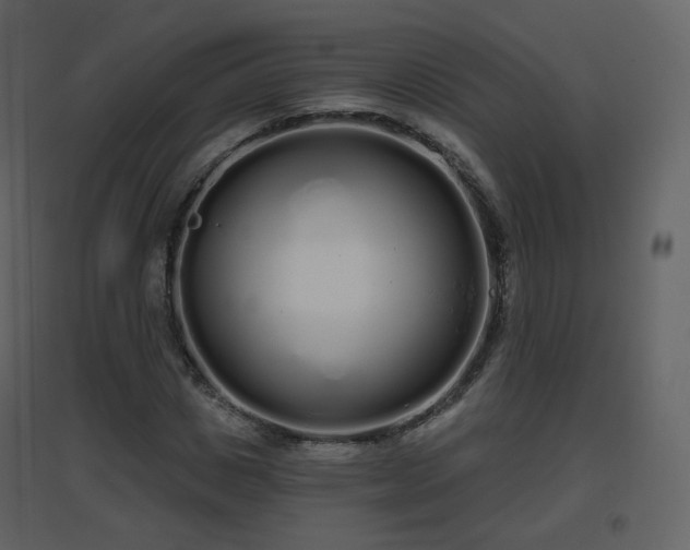 X0000096630825200802121045
